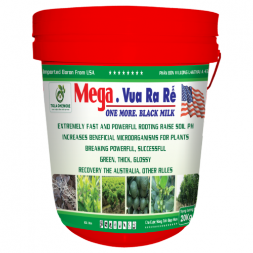 Mega - Vua ra rễ