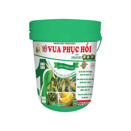 Xô Vua Phục Hồi