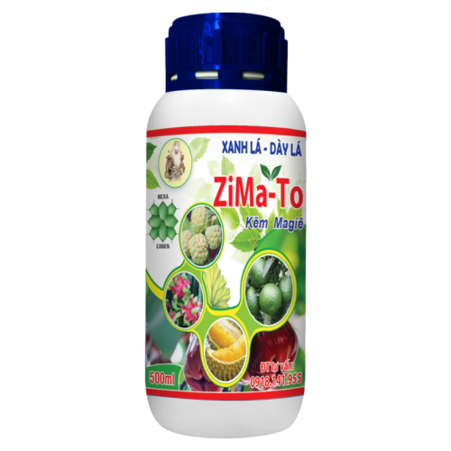 ZiMa - To
